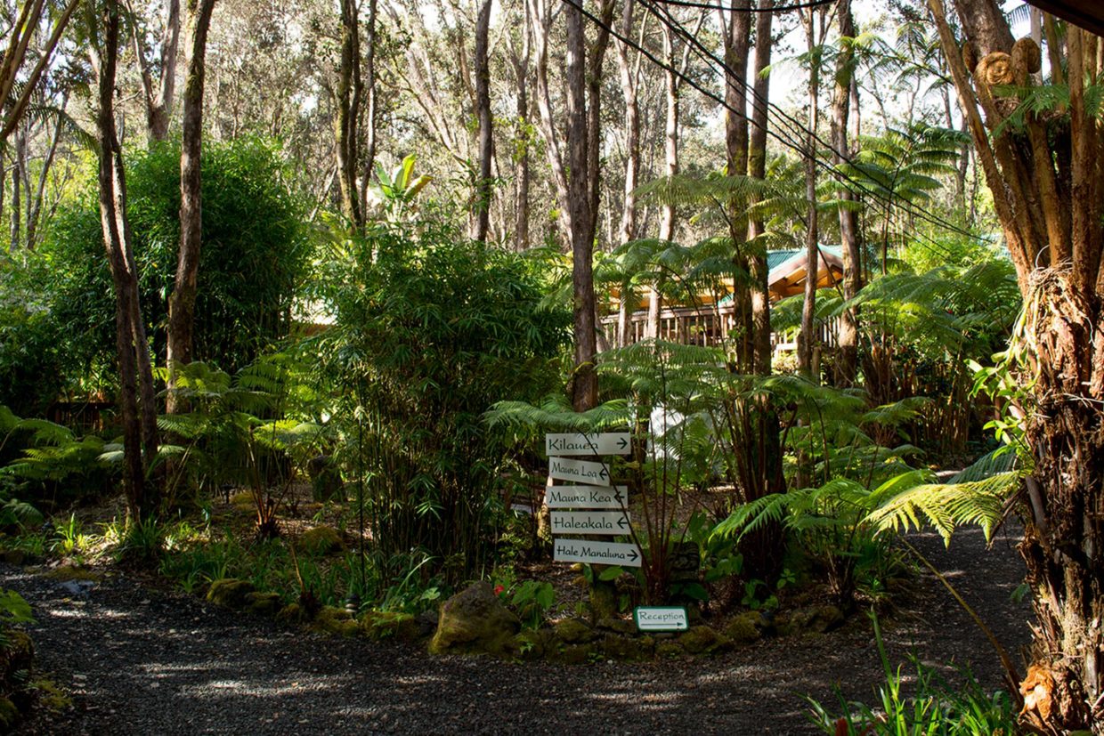 Volcano Village Lodge