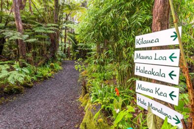 Entrance signs to Volcano Village Lodge