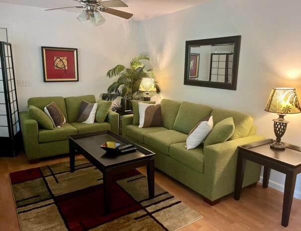 Hawaii Vacation Rental Living Room